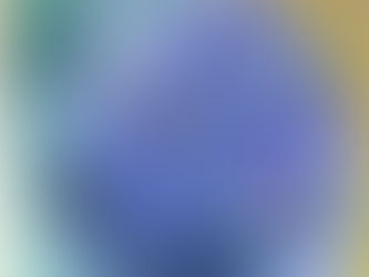 100歳の誕生日 (2) 臣華の絵