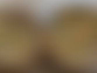 朝顔の蔓のゆくへは  選挙を前に