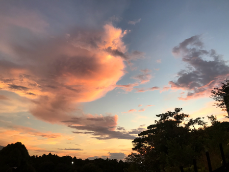 コロナ・ウィルスと人肉いちば