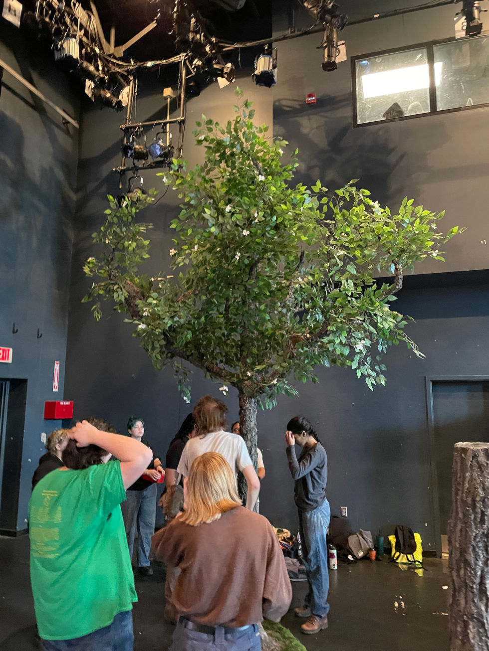 Barbecue Pre-Production