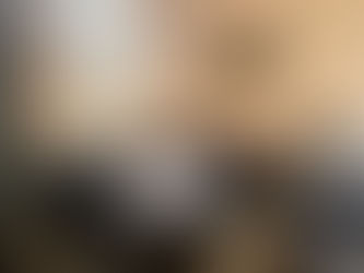 Врегулювання спорів і медіація у діяльності правоохоронця