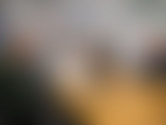 Декан юридичного факультету взяв участь у роботі Координаційної ради з питань розвитку громадянського суспільства та належного демократичного врядування