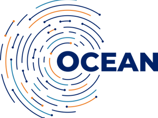 Lesya Ukrainka Volyn National University has joined the Open Academic Networks of the Council of Europe (OCEAN) Programme