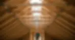roof-scaled.webp