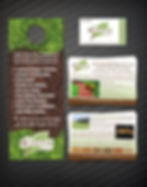 Logo Design + Brand Identity