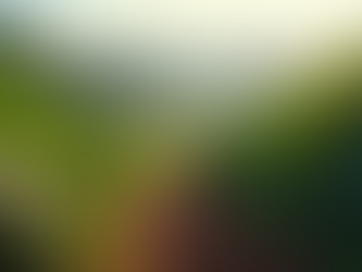 Explore Coffee Farms: Your Guide to Coffee Farm Stay Booking