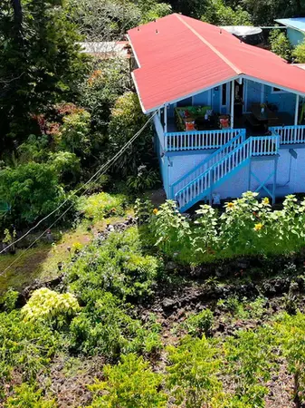 Straus Kona Farms coffee plantation in Holualoa Hawaii