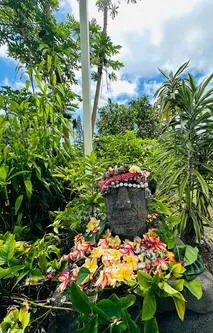 Tropical garden at Straus Kona Farms in Hawaii.