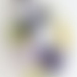 2026's Top Wedding Invitation Trends to Watch