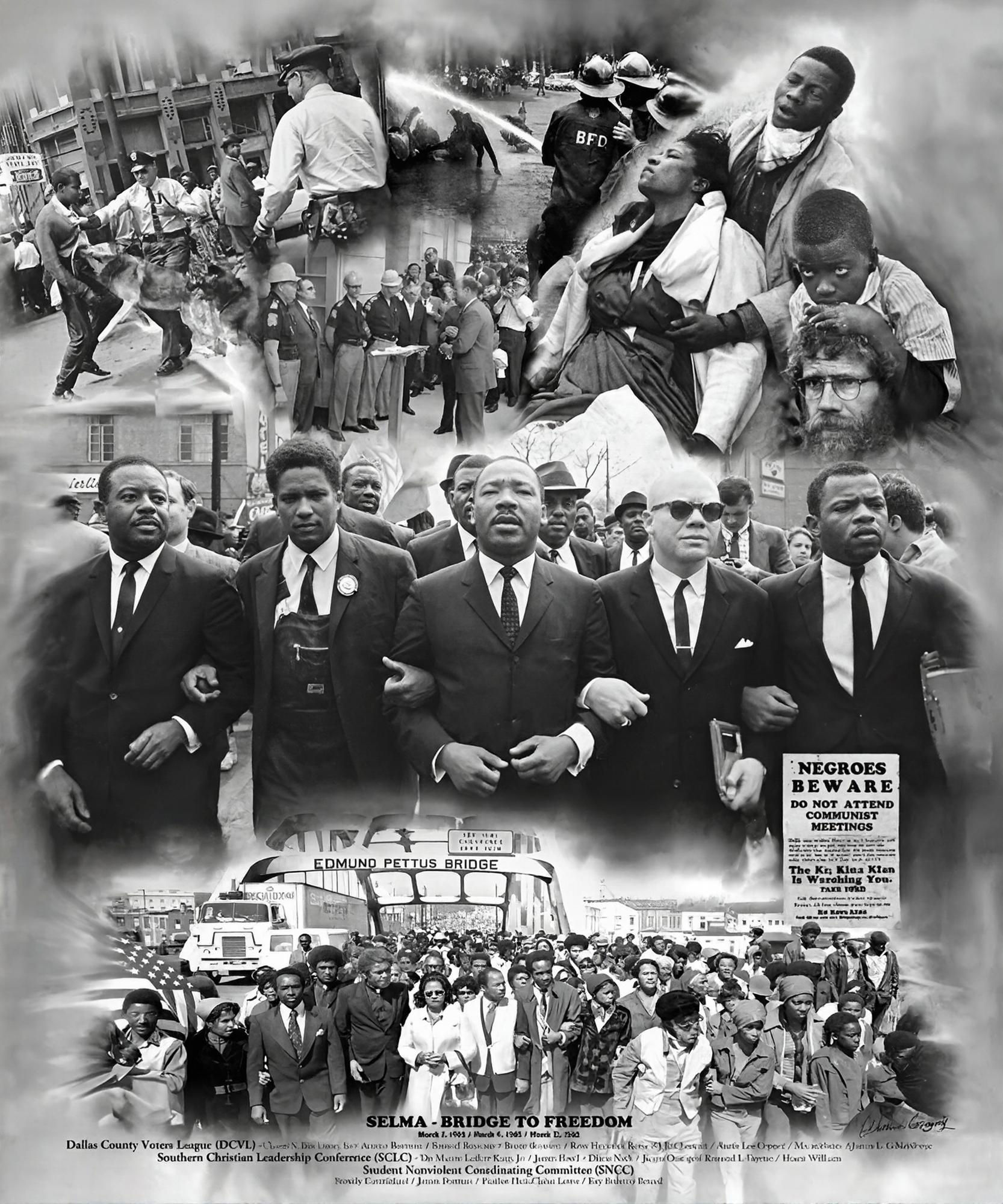 Selma Bridge To Freedom