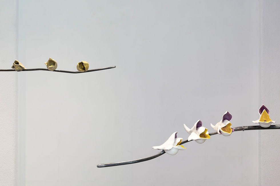 M. Cioffi