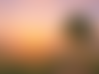 Letnie Przesilenie – Światło, Równowaga i Wewnętrzny Blask