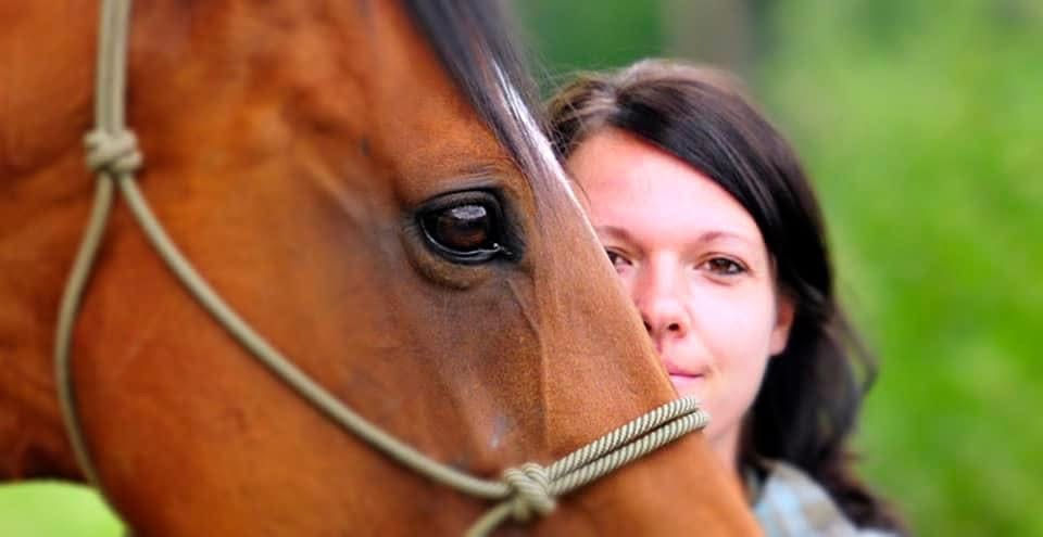 Tierheilpraxis für Pferde