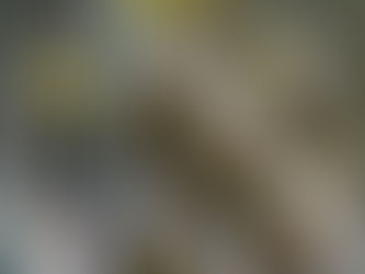 Een boek over Anton.