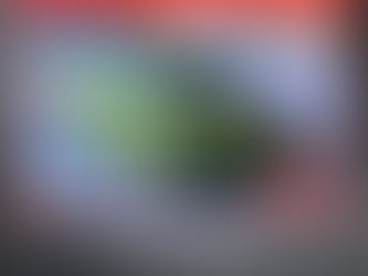 NHRA West Central Division 2024 Champions