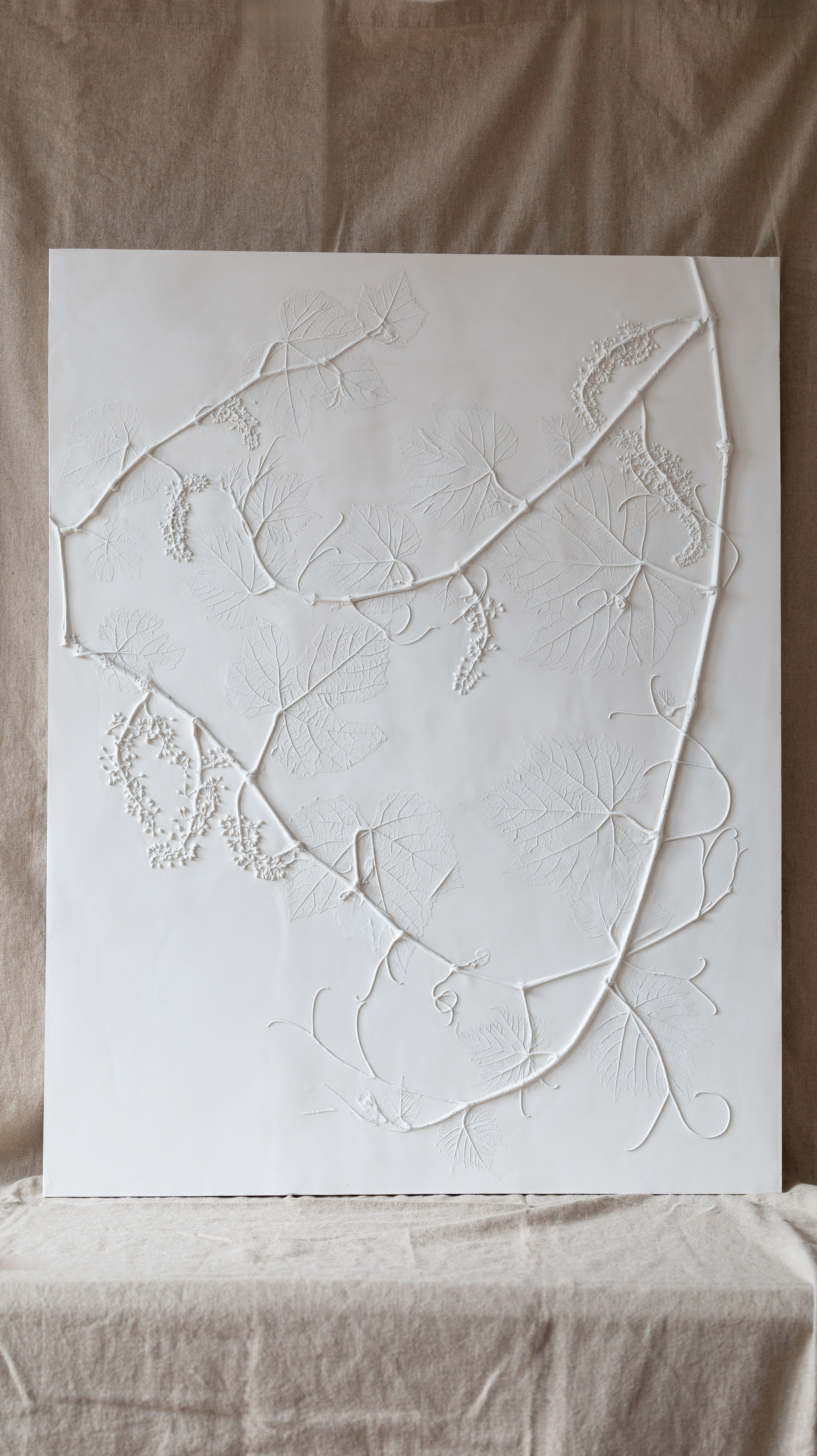 La Vigne du Château