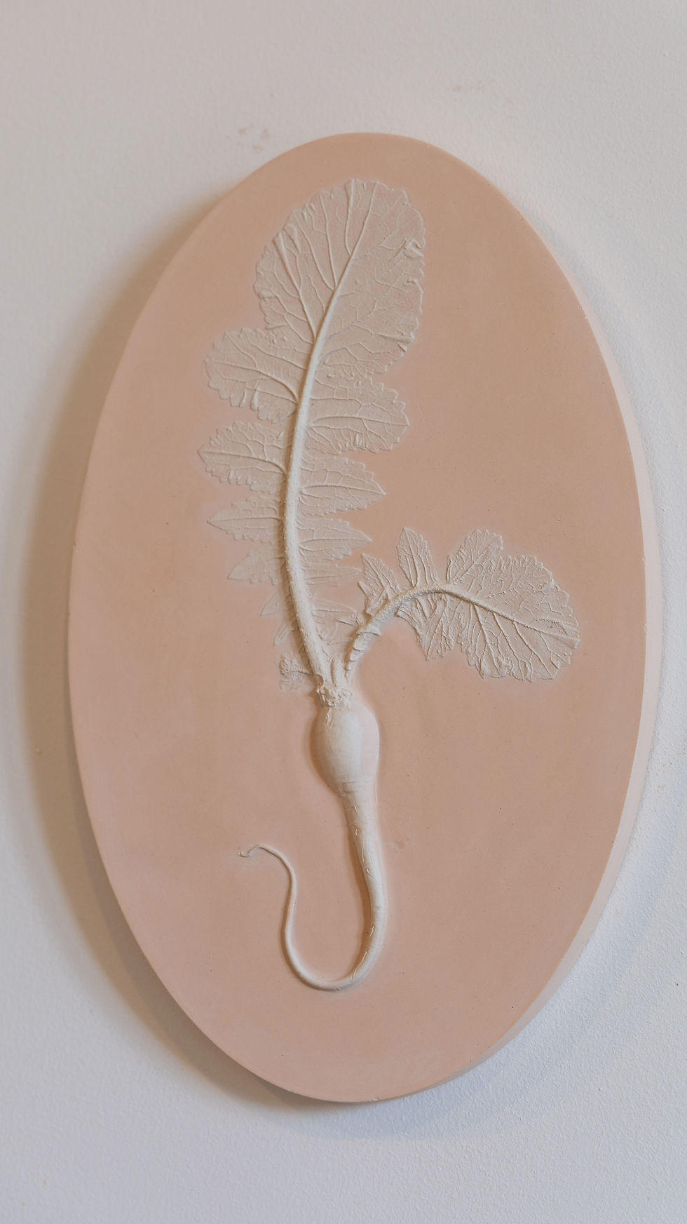 Miniature : Bas-relief Radis Long