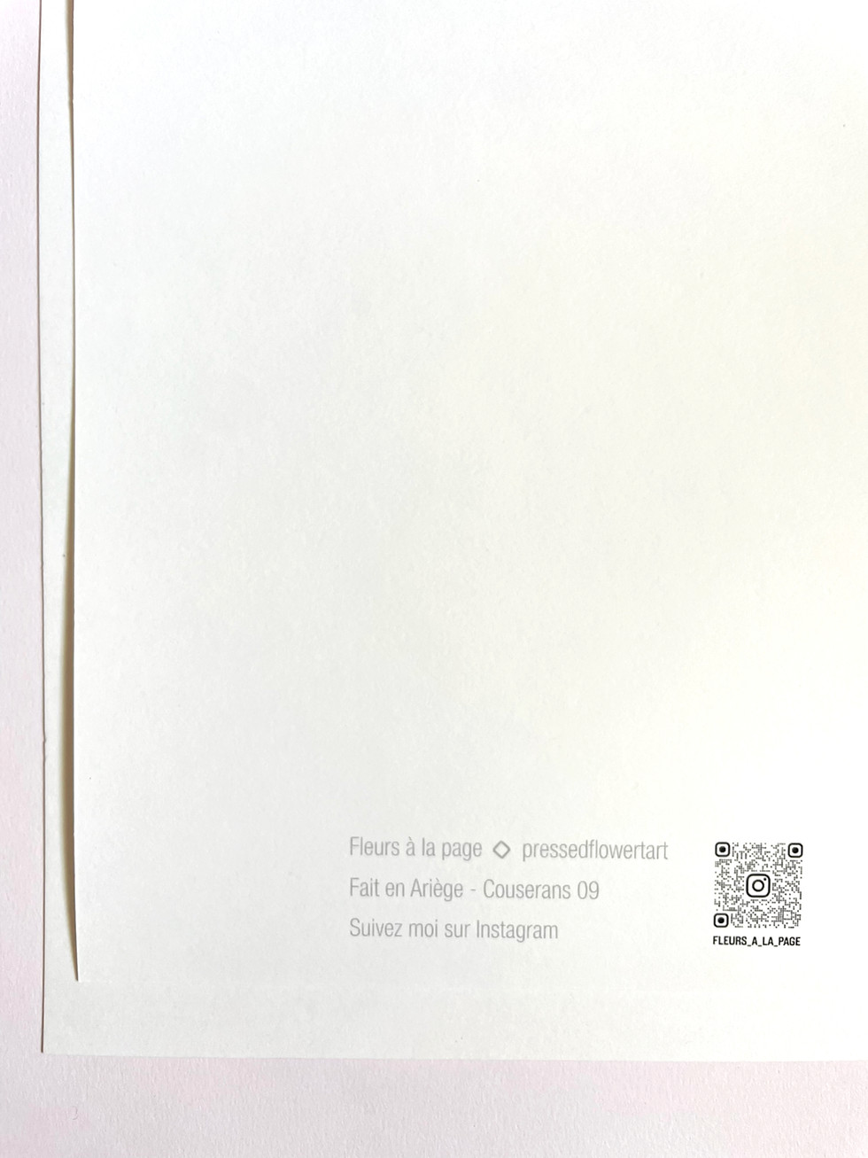 Miniature : Affiche 'Lune grise'