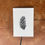 Thumbnail: White Pine Cone