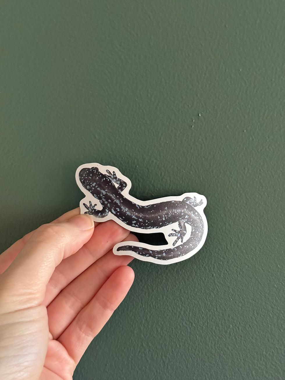 Thumbnail: Blue-spotted salamander magnet