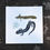 Thumbnail: Blue-spotted Salamander