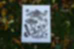 Thumbnail: Natural Treasures