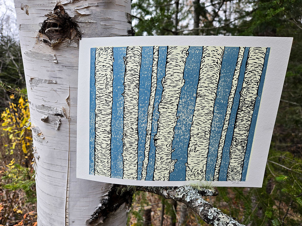 Thumbnail: White Birch Forest
