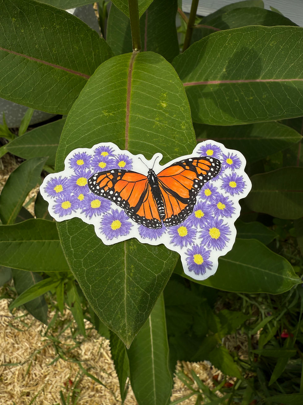 Thumbnail: Monarch on Aster Sticker
