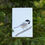 Thumbnail: Black-capped Chickadee Card