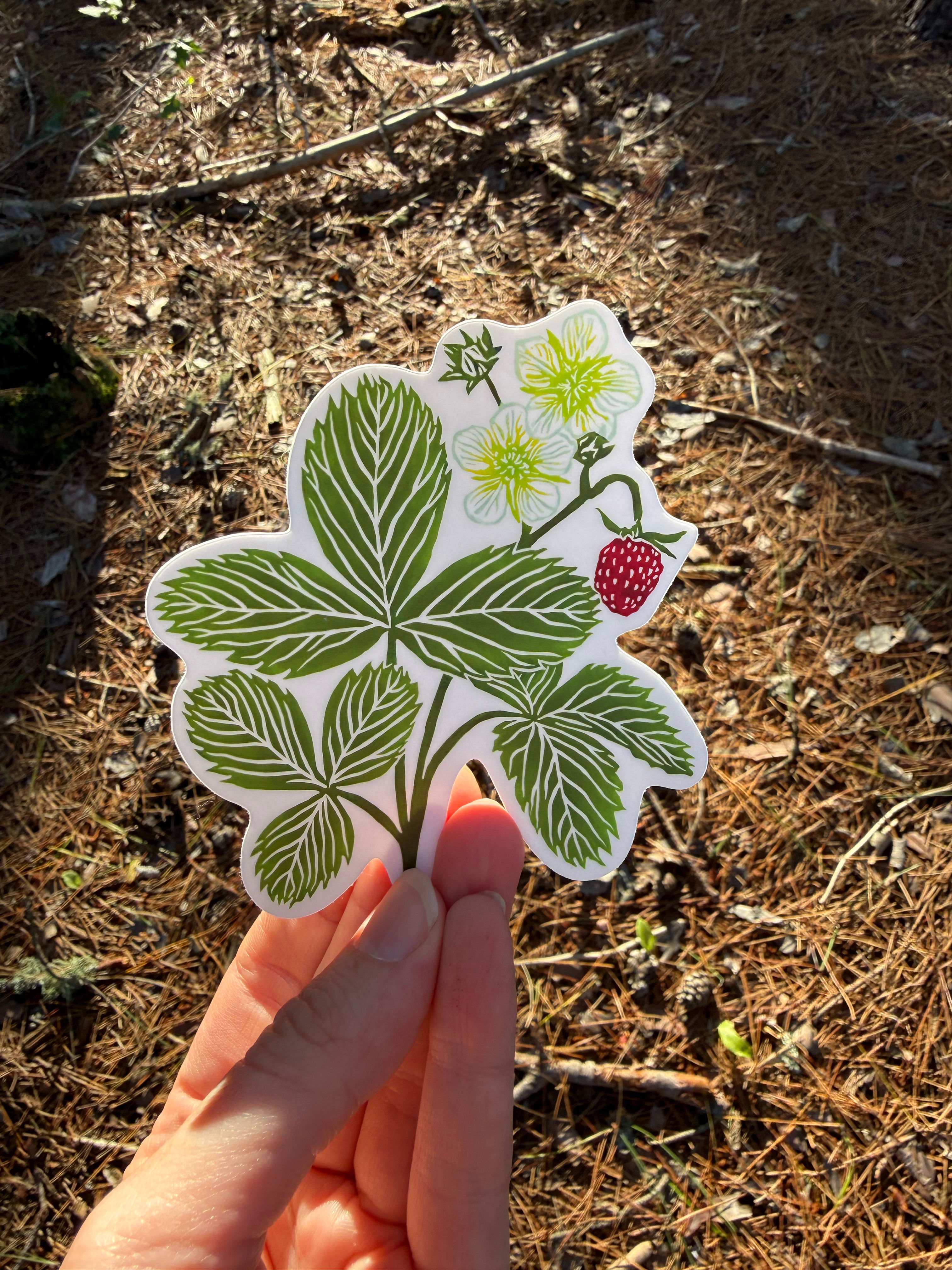 Wild strawberry sticker