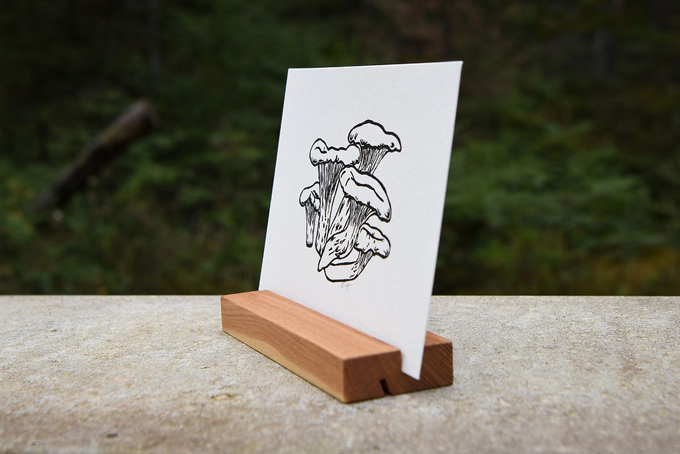 Thumbnail: Chanterelle
