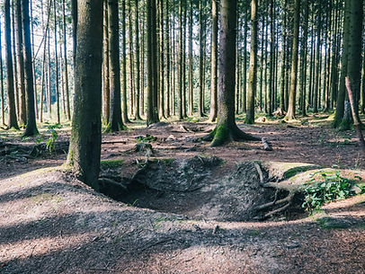 Bastogne - Ardennenoffensie - BeleeftSamen Groepsreizen (1).jpg