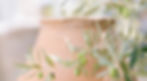Paula-House-Lucero-0129_websize.jpg