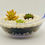 Thumbnail: Succulent Terrarium Kit Oval Bowl