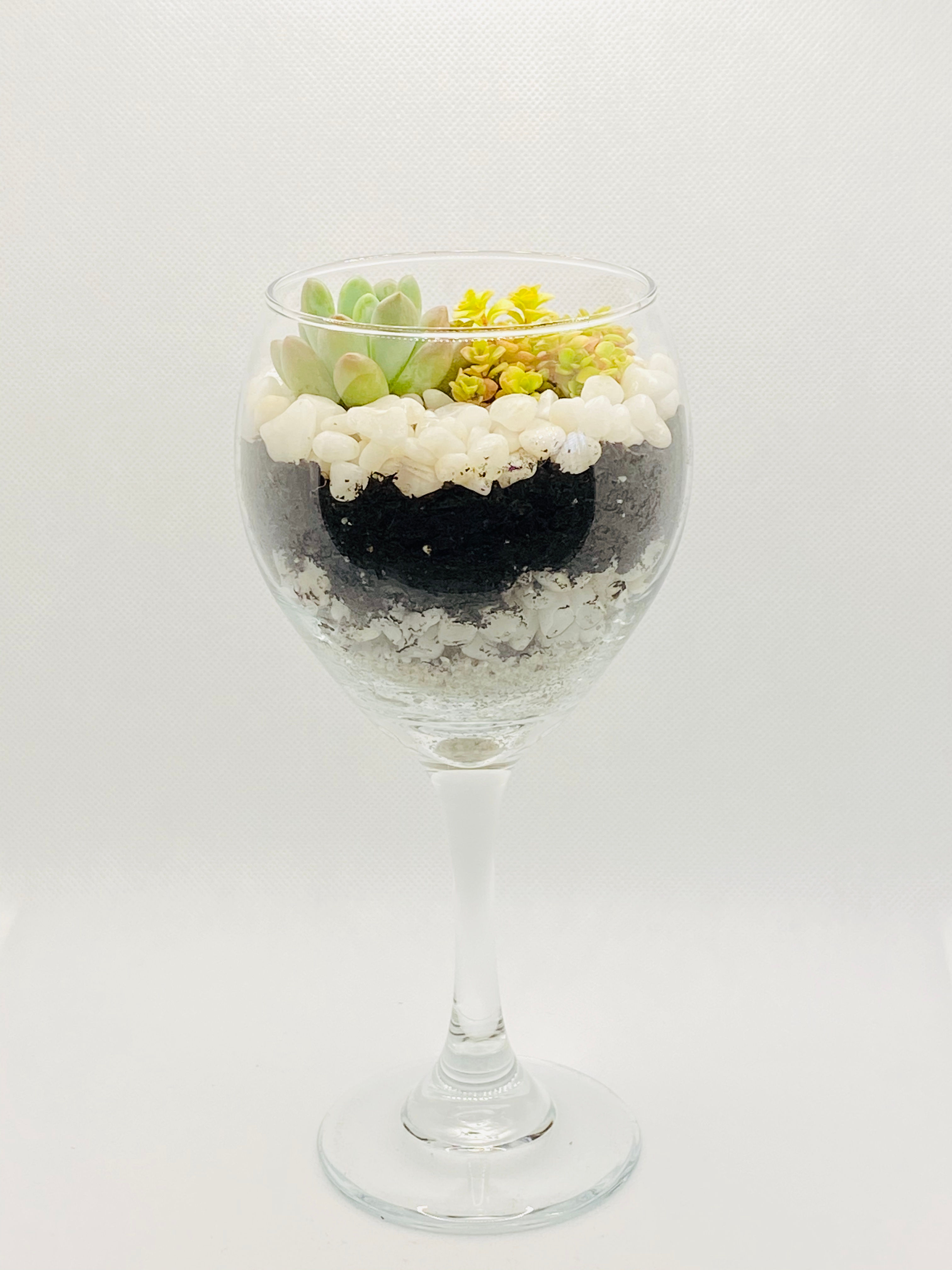 Succulent Terrarium Kit Wine Glass