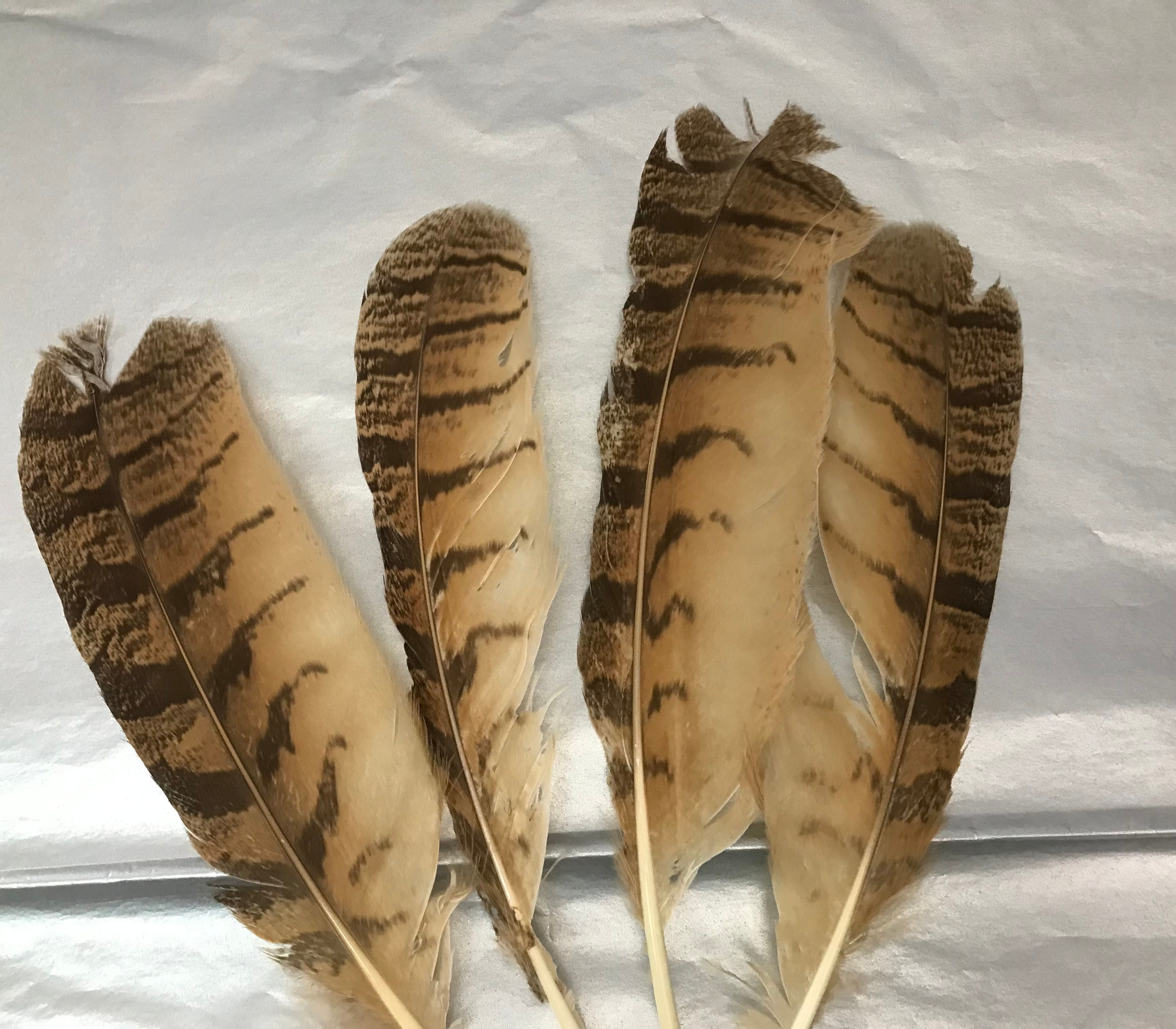 Imitation Brown Eagle Feather for smudge kit, crafts