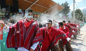 CARNAVALES.png