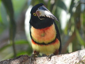 Our February Newsletter is here!