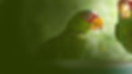bbr-banner_news.jpg