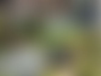 We’re Hiring: Skilled Handyman & Groundskeeper