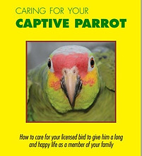 caring for 2 cover.jpg
