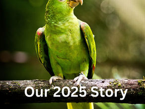 Our Story - 2025 in Review