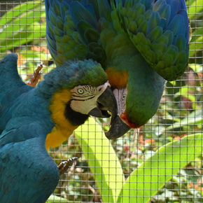 DSC_0221 (2)_edited.jpg