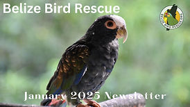 Copy of December  Newsletter 2024 (2).jpg