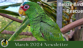 March Newsletter 2024.jpg