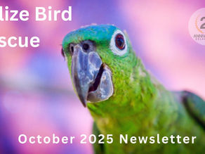 BBR October Newsletter