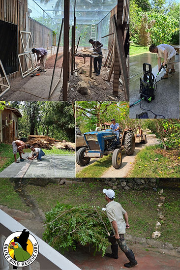 Your paragraph text (1).jpg