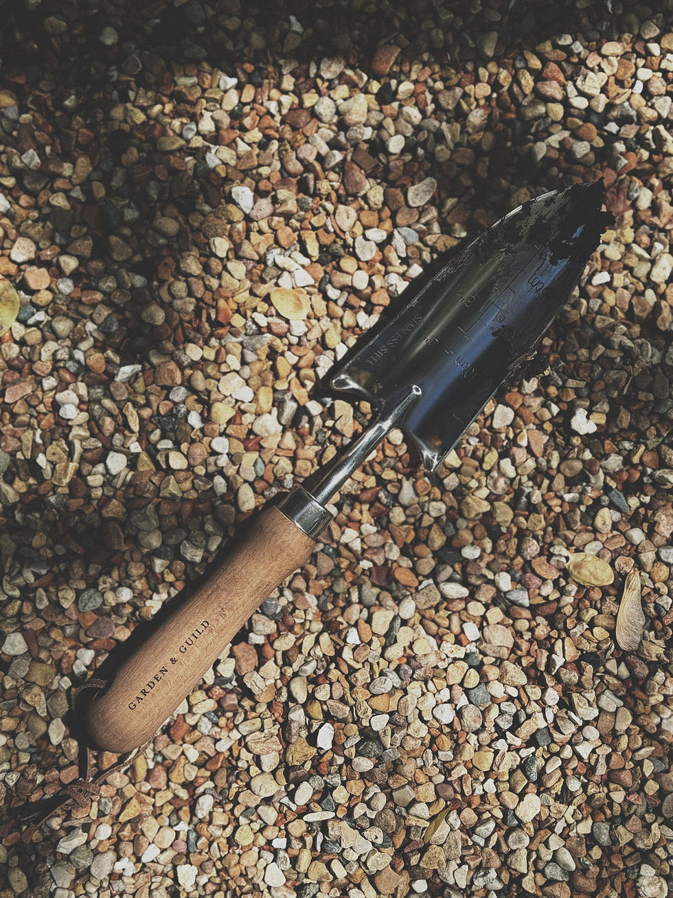 Thumbnail: Hand Trowel