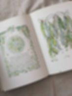 Thumbnail: In and Out of the Garden