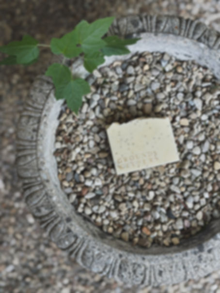 The Groundskeeper’s Scrub Bar 